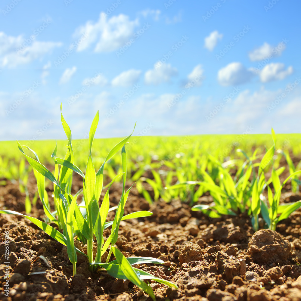 Agricultural Science Quiz