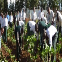 Senior Secondary School Agricultural Science Quiz
